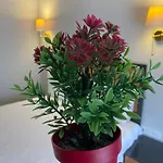 Inalens Airport Hotel Arnavutkoy