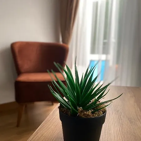 Inalens Airport Arnavutkoy