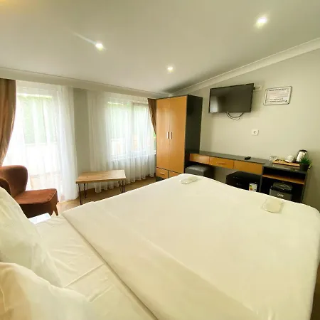 Inalens Airport Hotel 3*