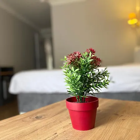 Inalens Airport Arnavutkoy