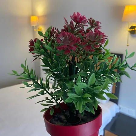 Inalens Airport فندق Arnavutkoy